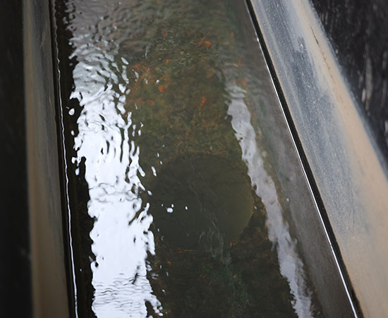氣浮機(jī)除磷效果好嗎？